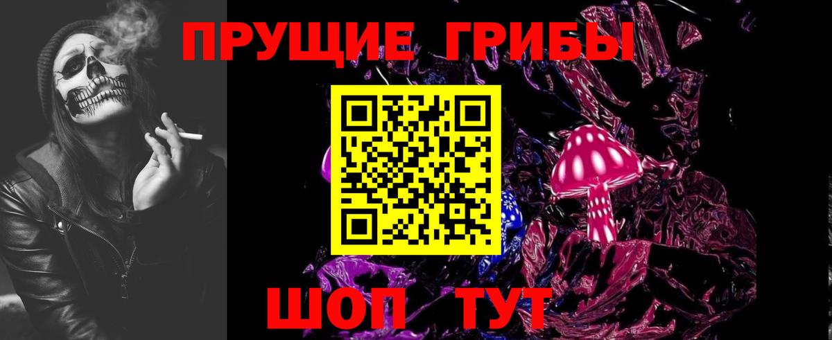 Псилоцибиновые грибы прущие грибы  цены   Городец  Вход с VPN 